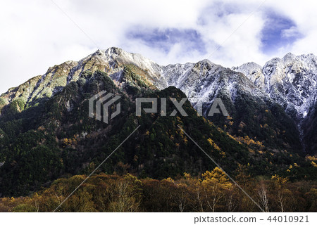 雪和秋葉風景 雪和秋葉風景 44010921