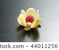 Rose flower 44011256
