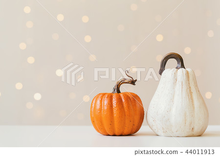 Collection of autumn pumpkins Collection of autumn pumpkins 44011913
