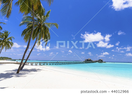 Beautiful coral reef sea in the Indian Ocean 44012966