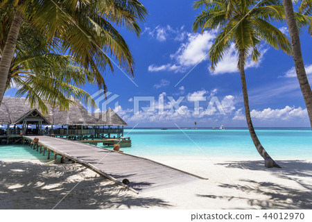 Beautiful coral reef sea in the Indian Ocean 44012970