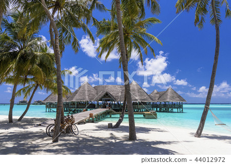 Beautiful coral reef sea in the Indian Ocean 44012972