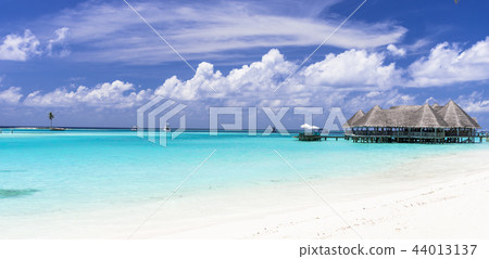 Beautiful coral reef sea in the Indian Ocean 44013137