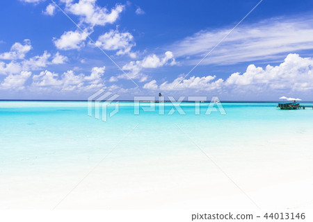 印度洋美麗的珊瑚礁海 44013146