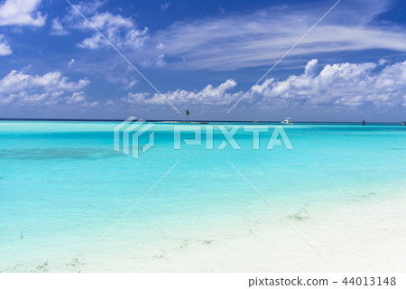 印度洋美麗的珊瑚礁海 44013148