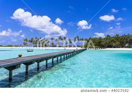 Beautiful coral reef sea in the Indian Ocean 44013592