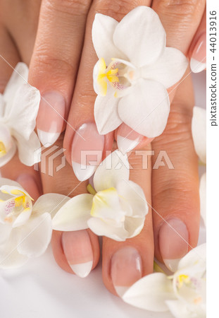 Woman with beautiful manicured nails. 44013916