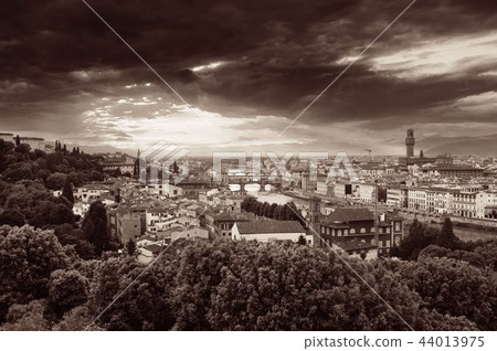 Florence skyline bw 44013975