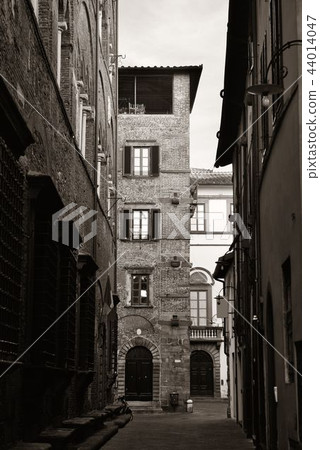 Lucca street view 44014047