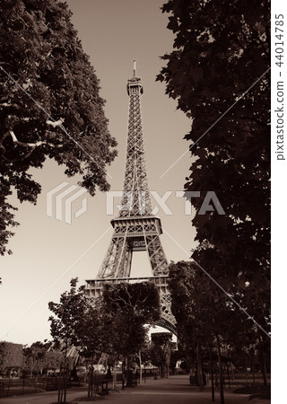 Eiffel Tower Paris Eiffel Tower Paris 44014785