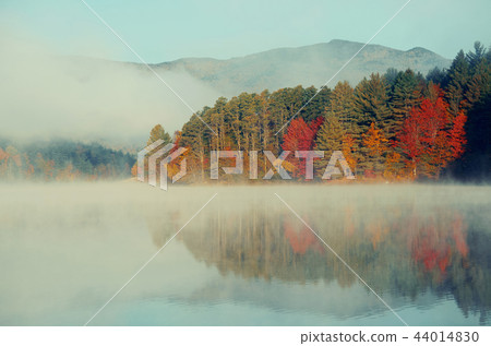 Autumn foliage Autumn foliage 44014830