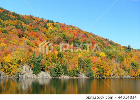 Lake Autumn Foliage Lake Autumn Foliage 44014834