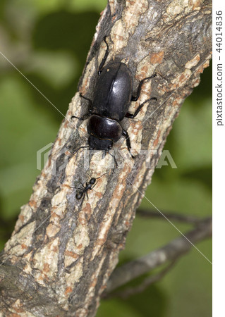 國和 國和 44014836