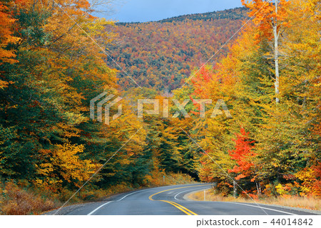 Highway and Autumn foliage 44014842