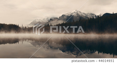 Lake Herbert Lake Herbert 44014931