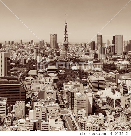 Tokyo Skyline 44015342