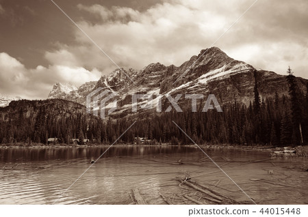 Yoho National Park 44015448