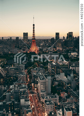Tokyo Skyline 44015650