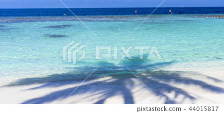 印度洋美麗的珊瑚礁海 印度洋美麗的珊瑚礁海 44015817