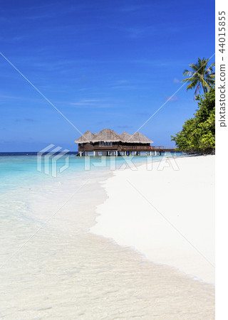 印度洋美麗的珊瑚礁海 印度洋美麗的珊瑚礁海 44015855