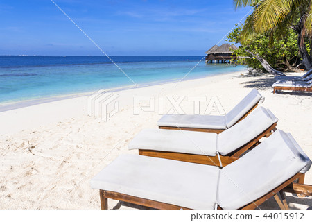 Beautiful coral reef sea in the Indian Ocean 44015912