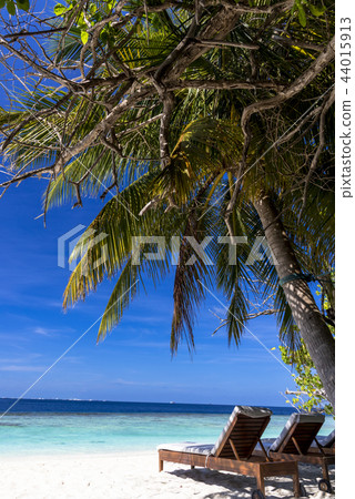 Beautiful coral reef sea in the Indian Ocean 44015913