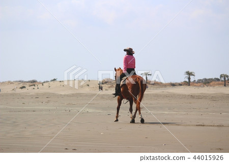 騎馬的婦女在一個沙灘 44015926