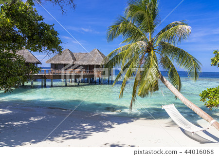 Beautiful coral reef sea in the Indian Ocean Beautiful coral reef sea in the Indian Ocean 44016068