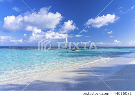 印度洋美麗的珊瑚礁海 44016081