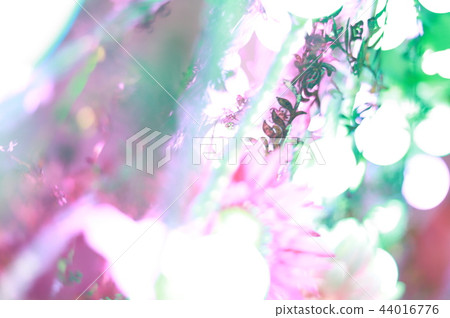 White and light 44016776