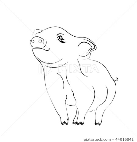2019 Zodiac Pig New Year brings prosperity and good luck. Black and white Piglet drawing illustrator 2019 Zodiac Pig New Year brings prosperity and good luck. Black and white Piglet drawing illustrator 44016841