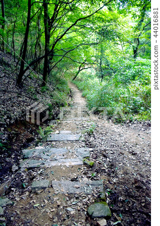 山路 山路 44016881