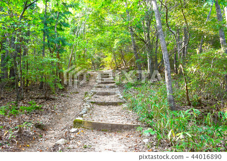 山路 山路 44016890
