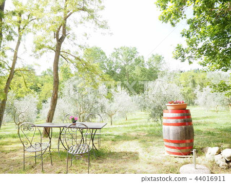 明亮的花園@農舍賓館@意大利 44016911