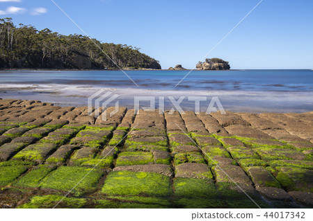View of Tessellated Pavement in Pirates Bay. View of Tessellated Pavement in Pirates Bay. 44017342