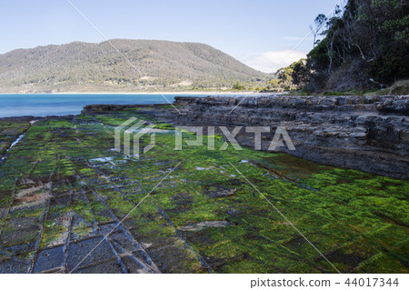 View of Tessellated Pavement in Pirates Bay. 44017344