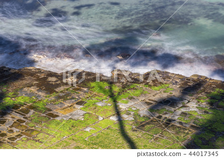 View of Tessellated Pavement in Pirates Bay. 44017345
