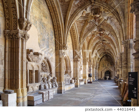 Cloister of the Cathedral - Leon 44018445