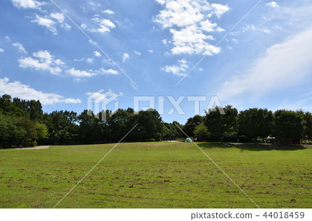 仲夏的里山公園 44018459