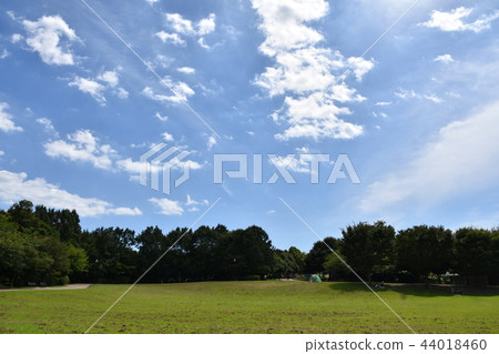 仲夏的里山公園 仲夏的里山公園 44018460