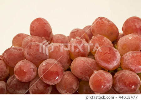 Grape (Koh Road) White Grape (Koh Road) White 44018477