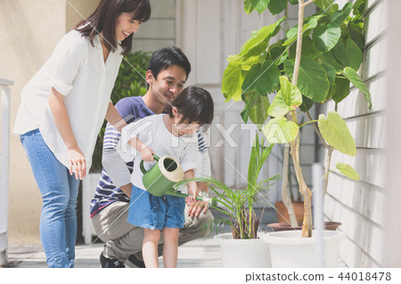 A family A family 44018478