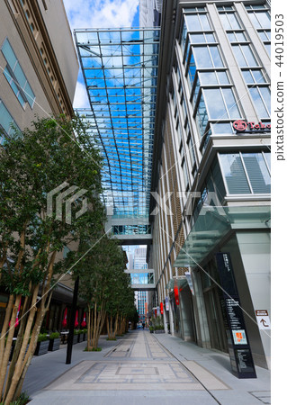 Nihonbashi Takashimaya SC新城市購物中心開業 Nihonbashi Takashimaya SC新城市購物中心開業 44019503