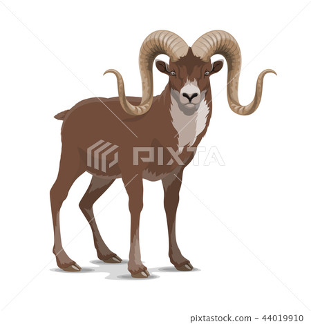 Screw horned markhor goat, vector wild animal Screw horned markhor goat, vector wild animal 44019910