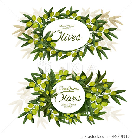 Extra virgin olive bunch round label 44019912