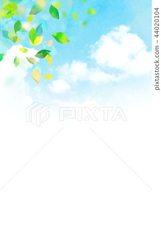 Background material sky leaves texture Background material sky leaves texture 44020104