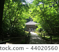 遭遇（松島） 44020560