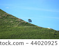 Blue sky and green slope 44020925