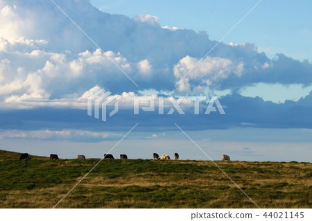 Mikahara Plateau 44021145