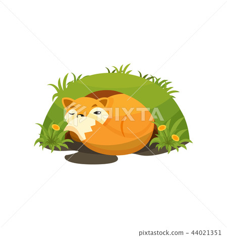 Cute fox sleeping in a den vector Illustration on a white background 44021351
